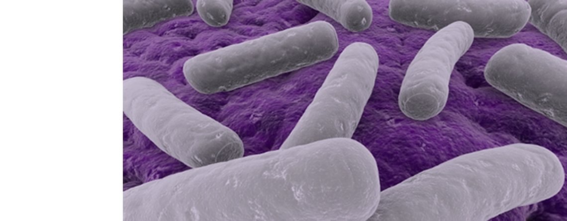 Antibiotic Resistance Traits